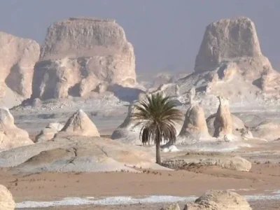 JW_White Desert El Bahariya