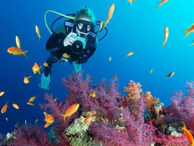 red_sea_egypt_sharm_el_sheikh_diver_underwater_camel_dive_club_gallery